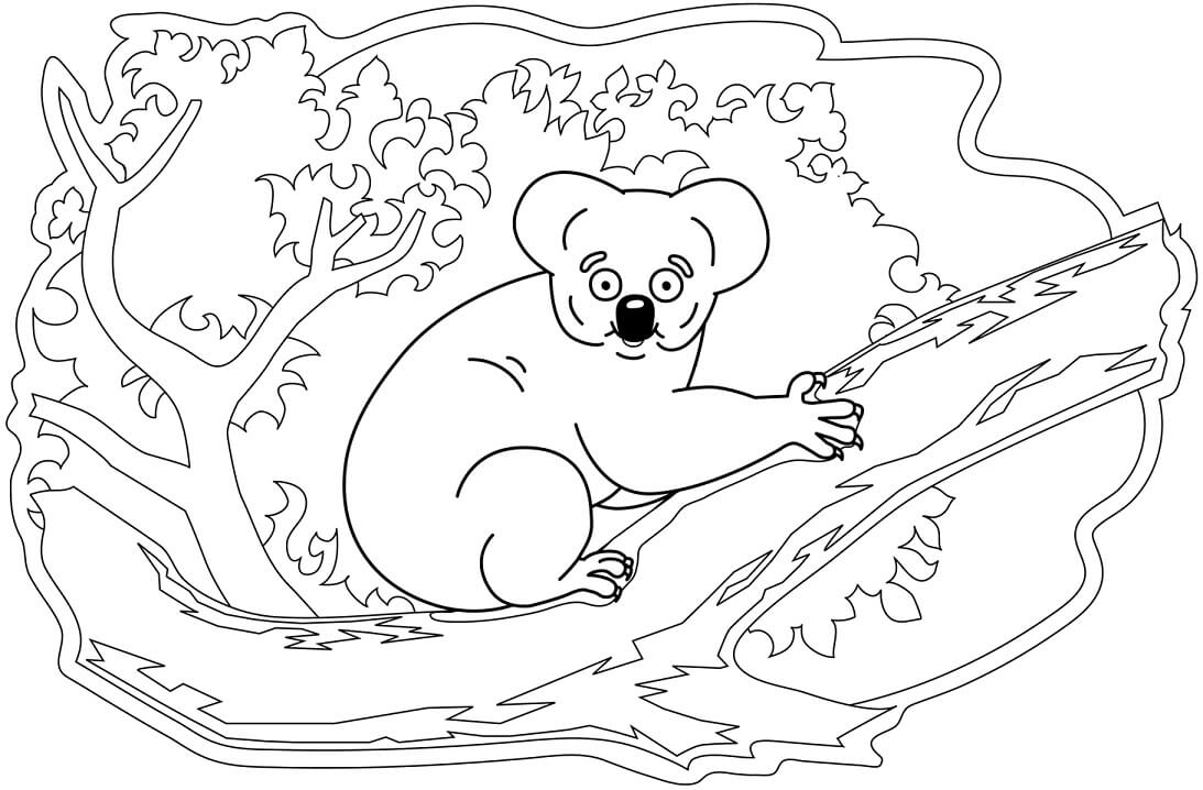 Desenhos de Coala para Colorir
