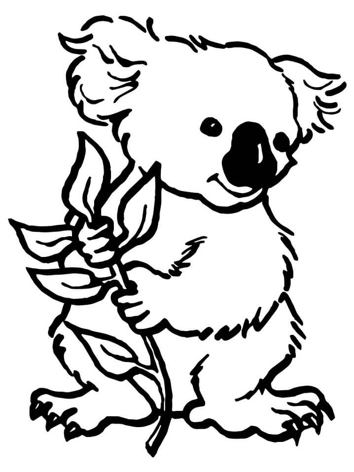 Desenho de Coala Simples para Imprimir Lápis de Cor