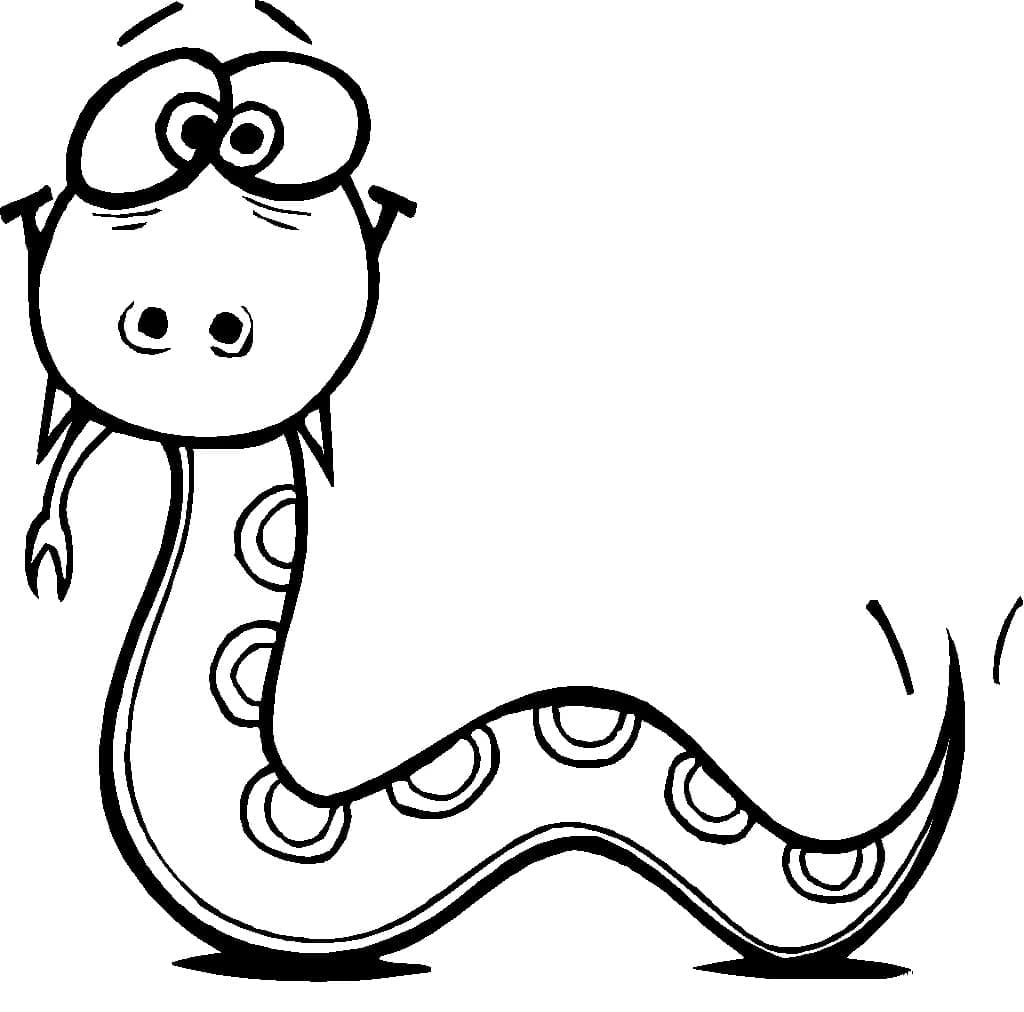 Desenho de Cobrá Boba para Colorir