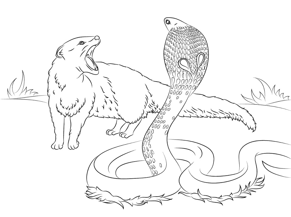 Desenho de Cobrá com Língua de Fora Imprimivel Download