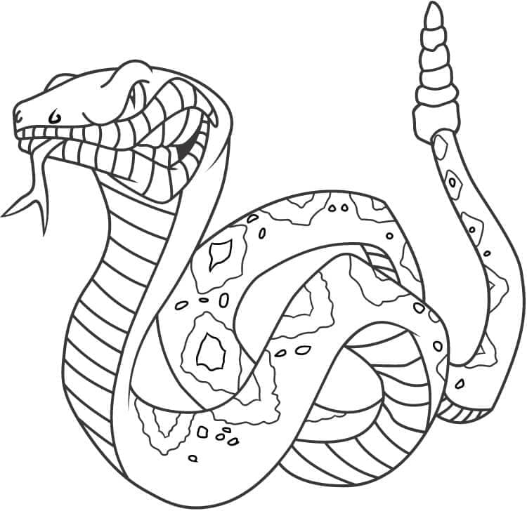 Desenho de Cobrá Irritada para Colorir
