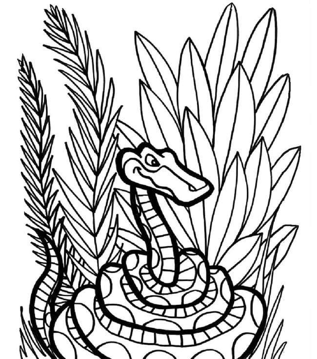 Desenho de Cobrá Jiboia Animada para Colorir