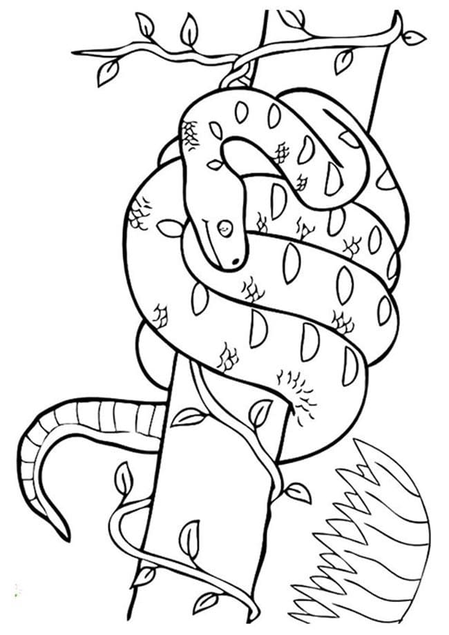 Desenho de Cobrá Jiboia Grátis para Colorir