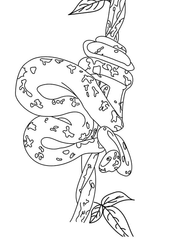 Desenho de Cobrá na Árvore para Colorir