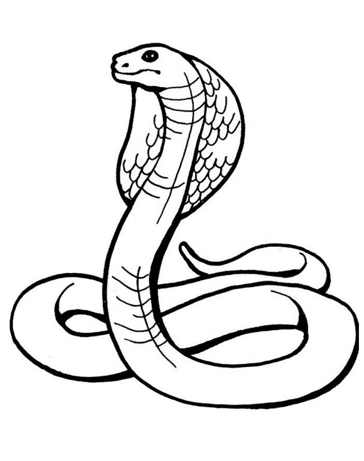 Desenho de Cobrá para Colorir Pdf