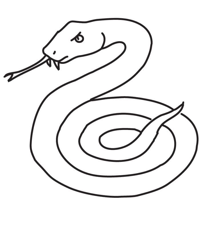 Desenho de Cobrá Simples para Colorir