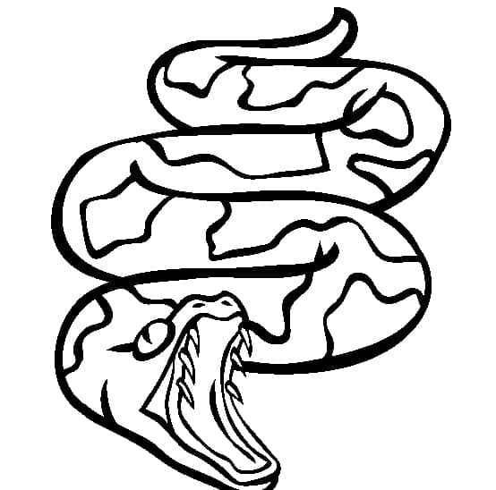 Desenho de Imagem de Cobrá para Colorir