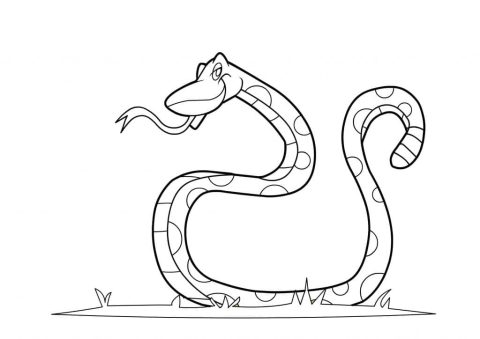 Desenho de Uma Cobra para Colorir