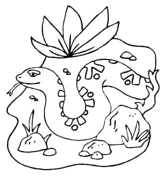 Desenho de Uma Pequena Cobra para Colorir