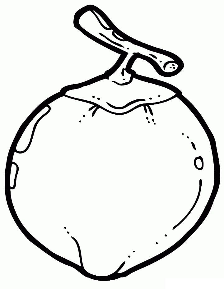 Desenho de Coço Bonito para Colorir Pdf