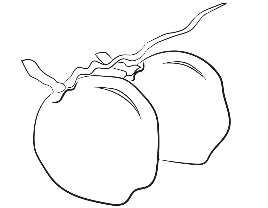 Desenho de Coço com Palmeira para Colorir