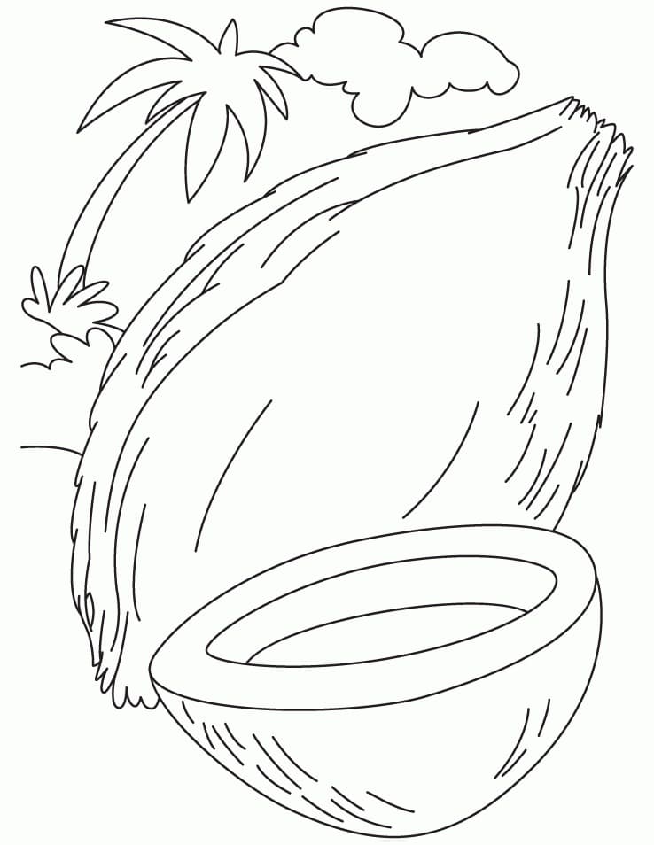 Desenho de Coço Imprimivel Download