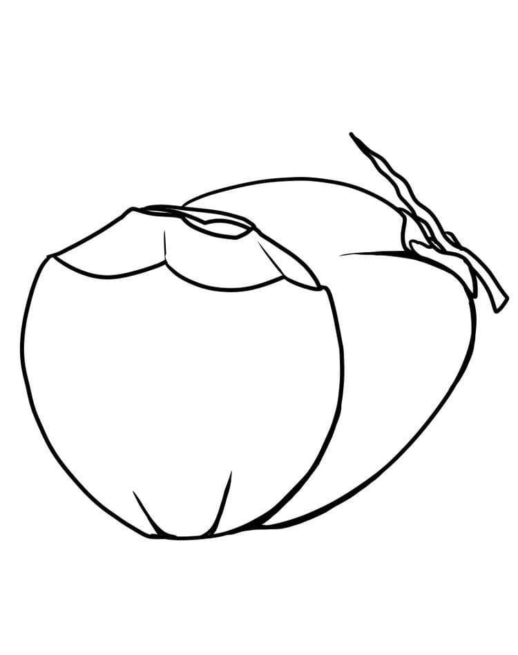 Desenho de Coço na Praia para Imprimir
