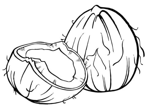 Desenho de coço para Pintar Giz de Cera