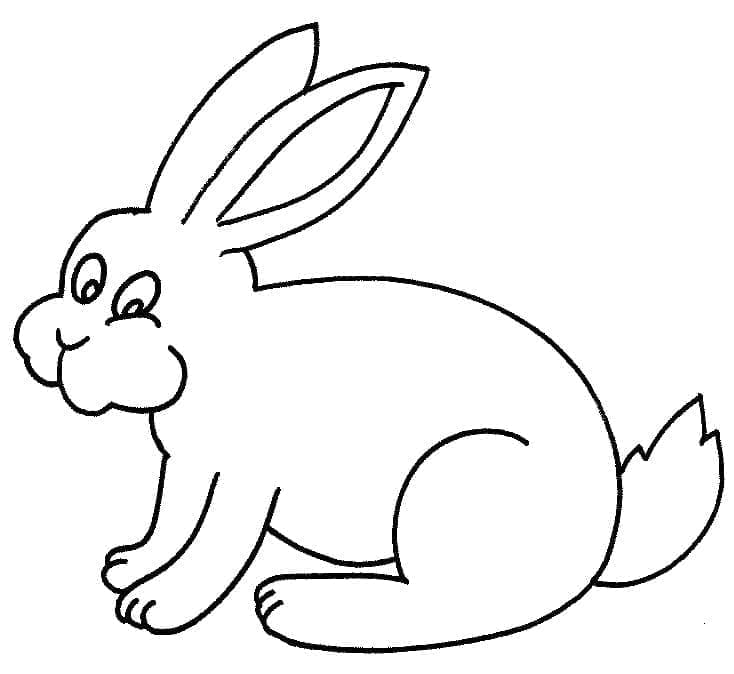 Desenho de Coelho Simples para Colorir