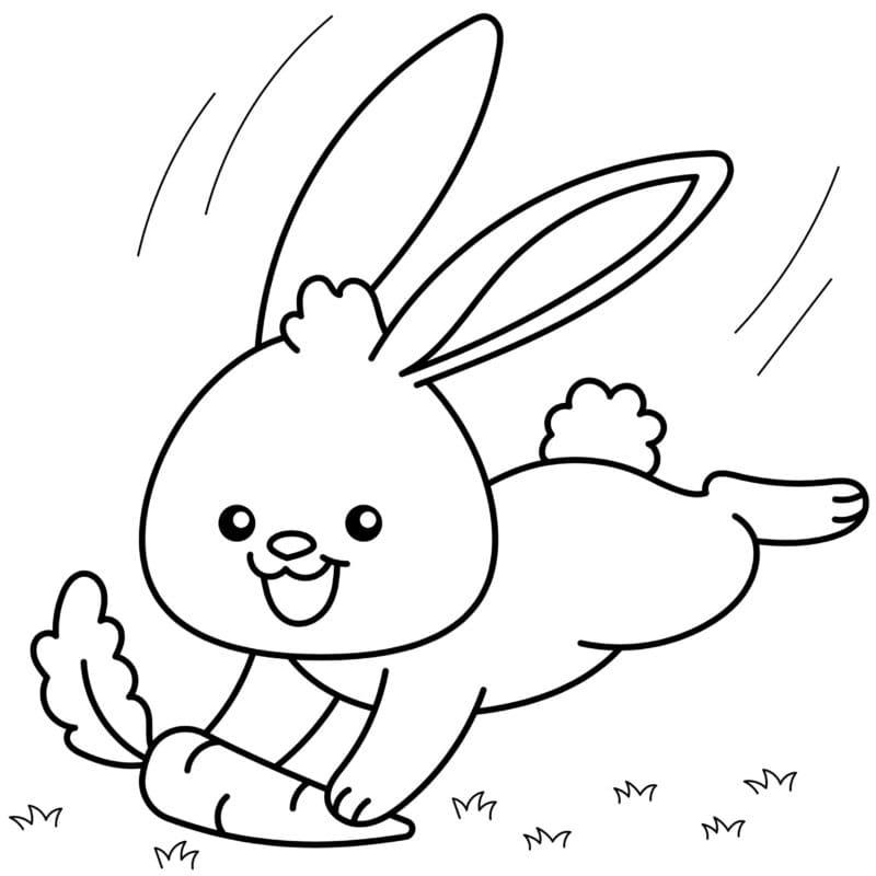 Desenho de Coelho e Cenoura para Colorir
