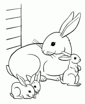 Desenho de Uma família de Coelhos para Colorir