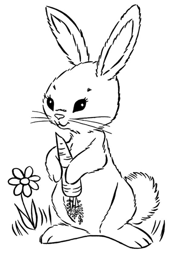 Desenho de Coelho Pdf para Colorir