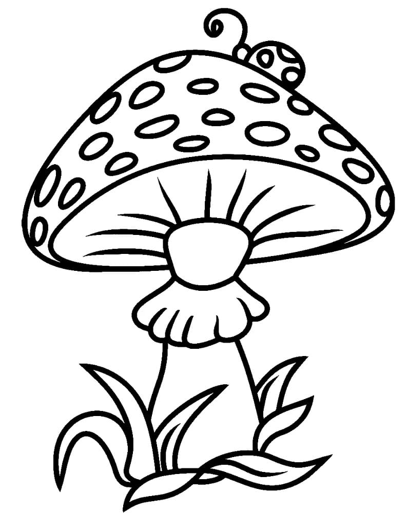 Desenho de Inseto em um Cogumelo para Colorir