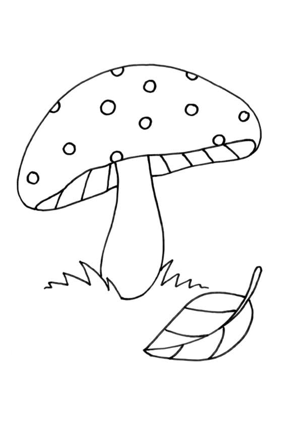 Desenho Cogumelo e Folha para Colorir