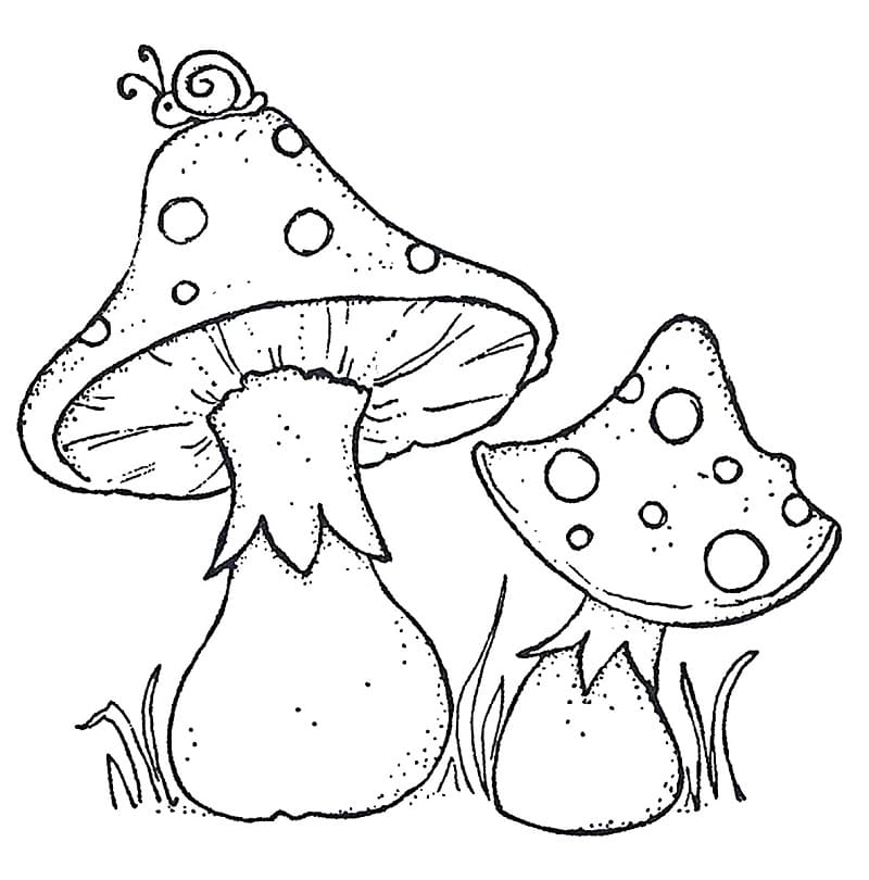 Desenhos de Cogumelo para Colorir