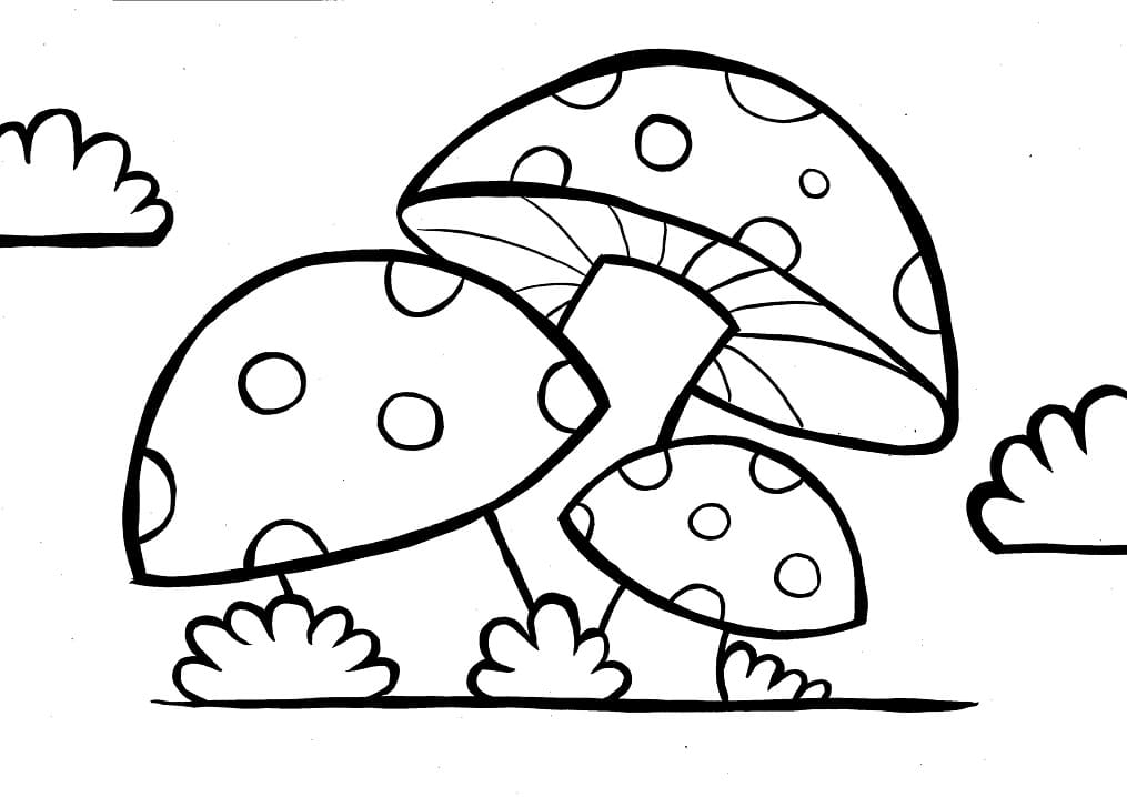 Desenho Três Cogumelos para Colorir