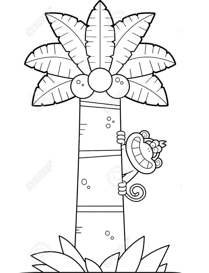 Desenho de Coqueiro Colorido para Colorir Pdf