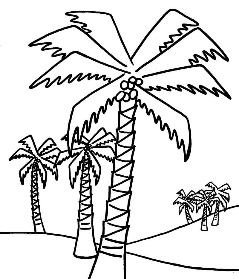 Desenho de Coqueiro com Mar para Colorir
