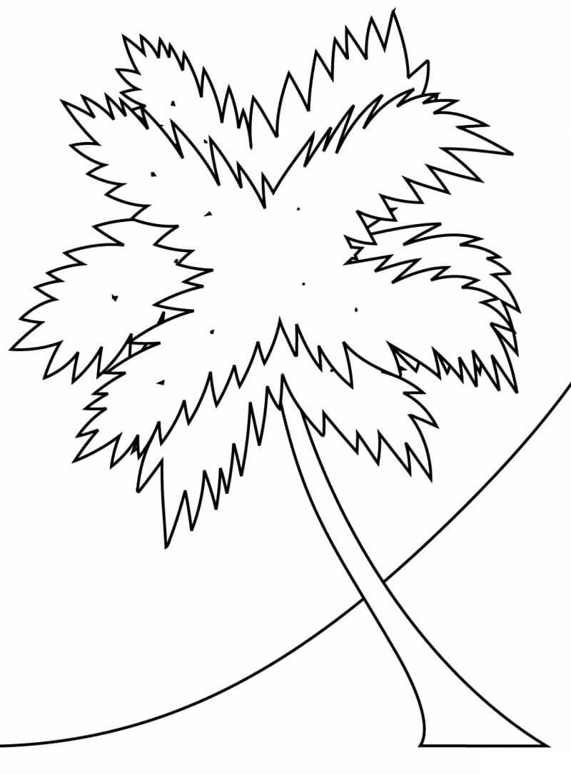 Desenho de Coqueiro com Sol Imprimivel Download