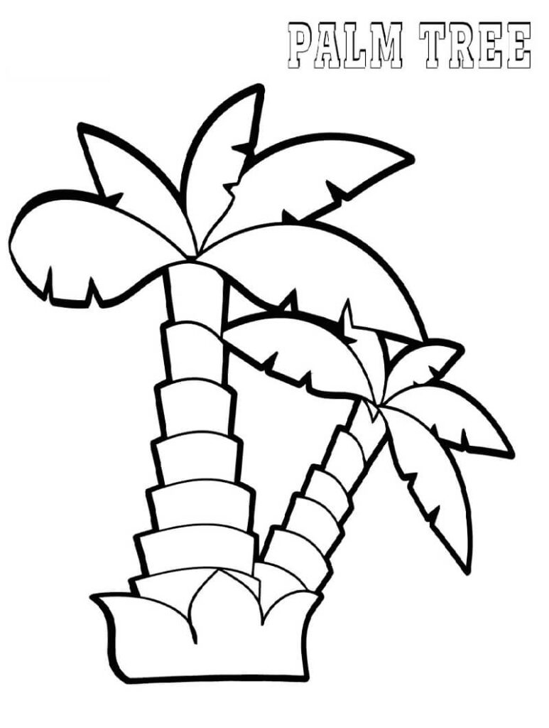 Desenho de Coqueiro Detalhado para Colorir Pdf