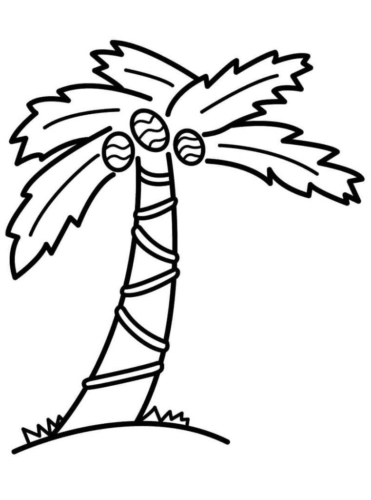 Desenho de Coqueiro Grande para Colorir Pdf