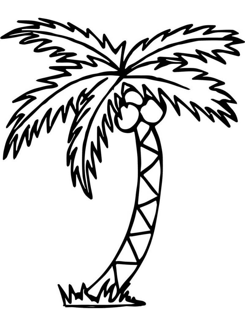 Desenho de Coqueiro Infantil para Imprimir