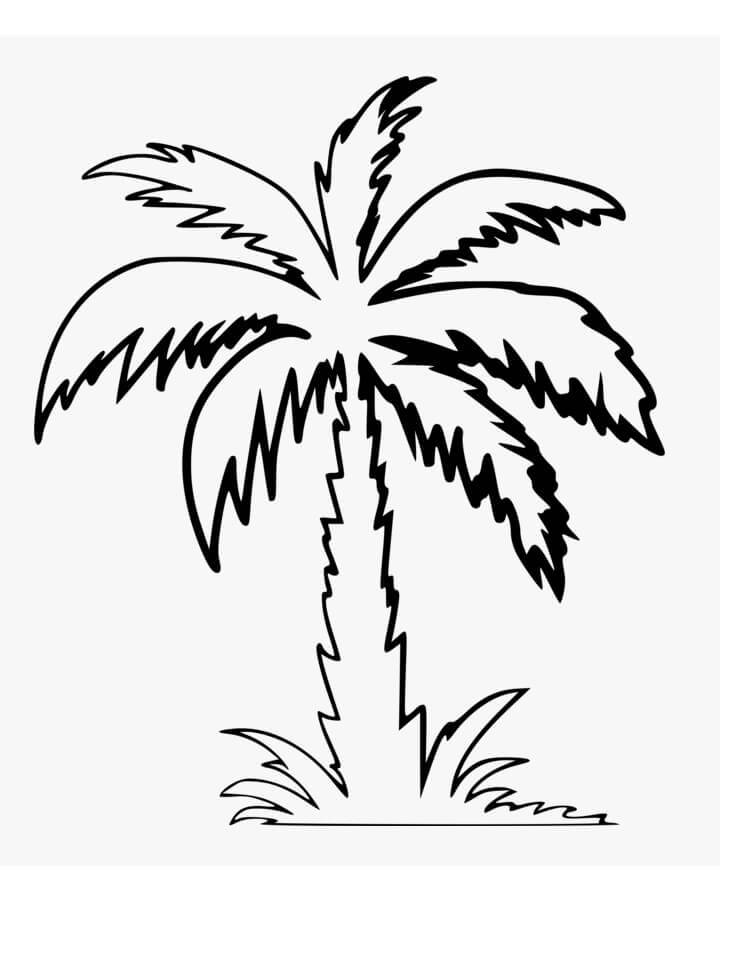 Desenho de Coqueiro na Praia para Imprimir