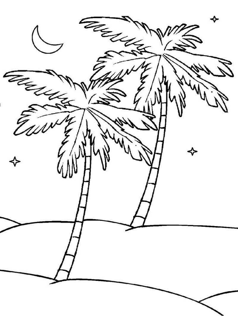 Desenho de Coqueiro Pequeno para Imprimir Lápis de Cor