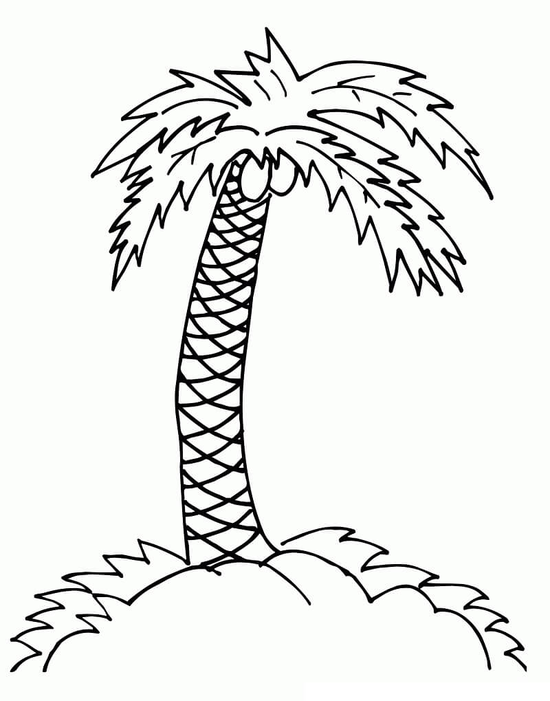 Desenhos de Coqueiro para Colorir