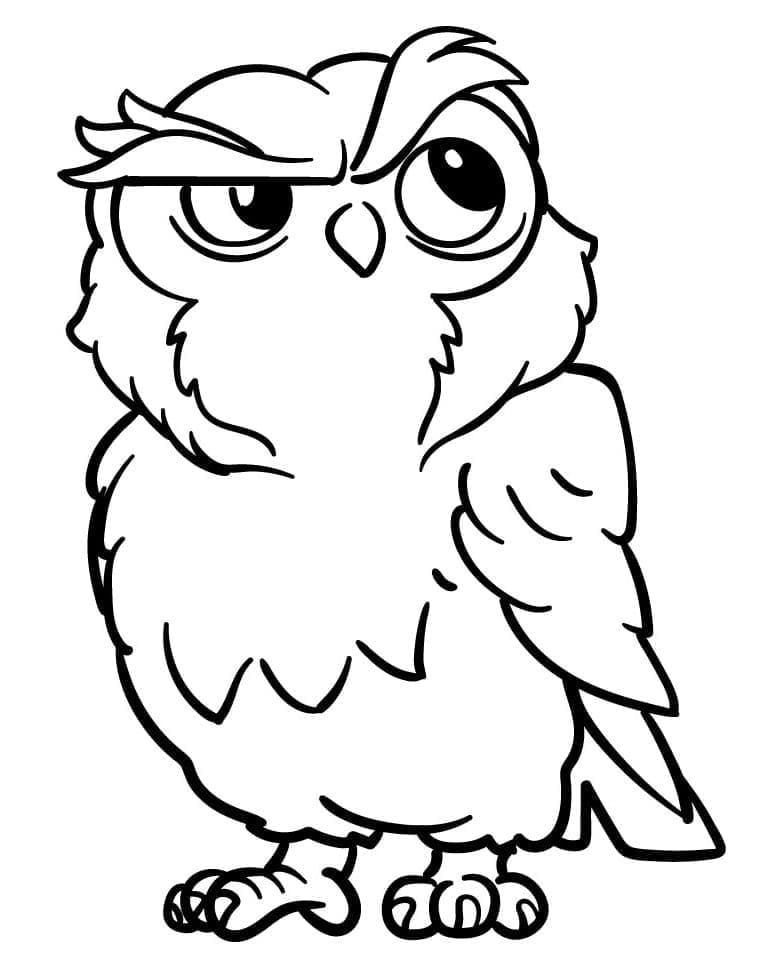 Desenho de Coruja Confusa para Colorir