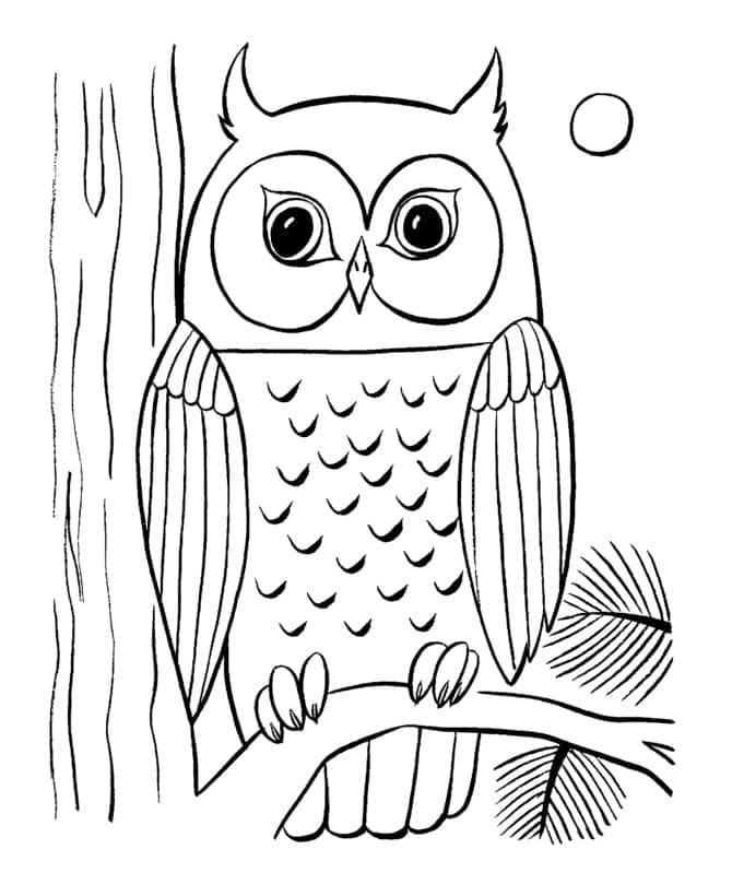 Desenho de Coruja Grátis para Crianças para Colorir