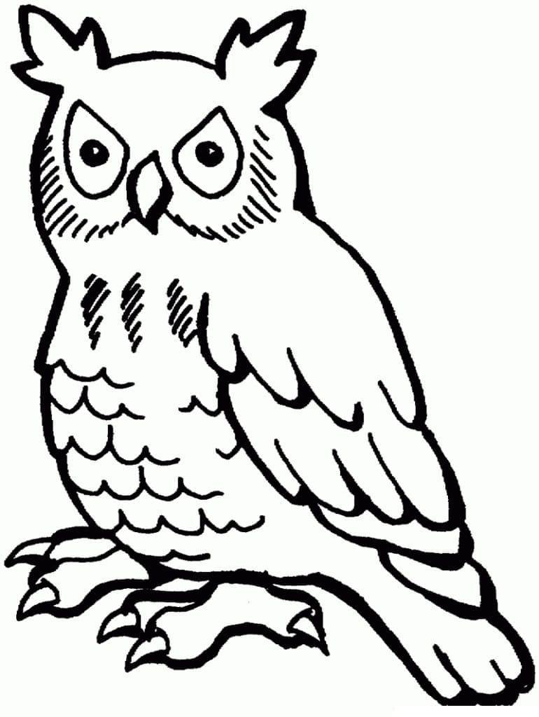 Desenho de Coruja Grátis para Colorir