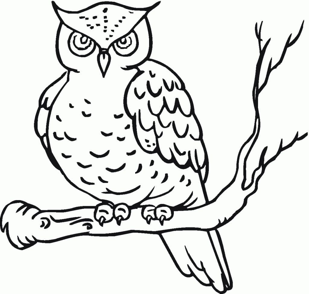 Desenho de Coruja para Crianças para Colorir