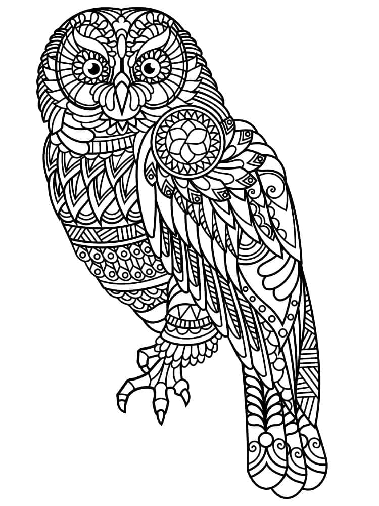 Desenho de Coruja Zentangle para Colorir