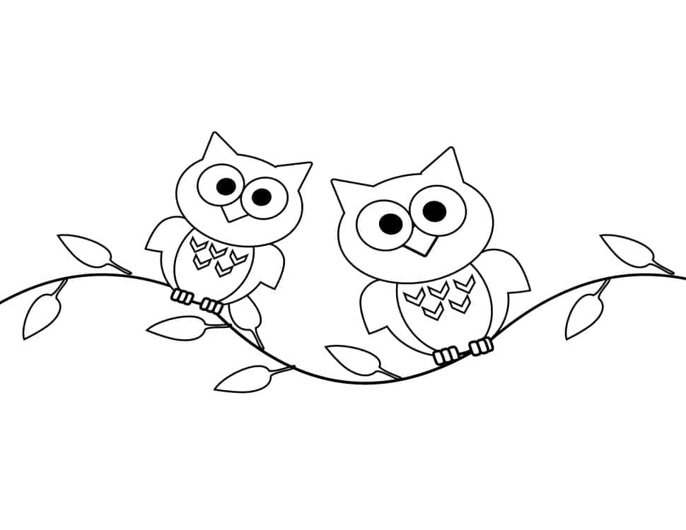 Desenho de Corujas Fofas para Colorir