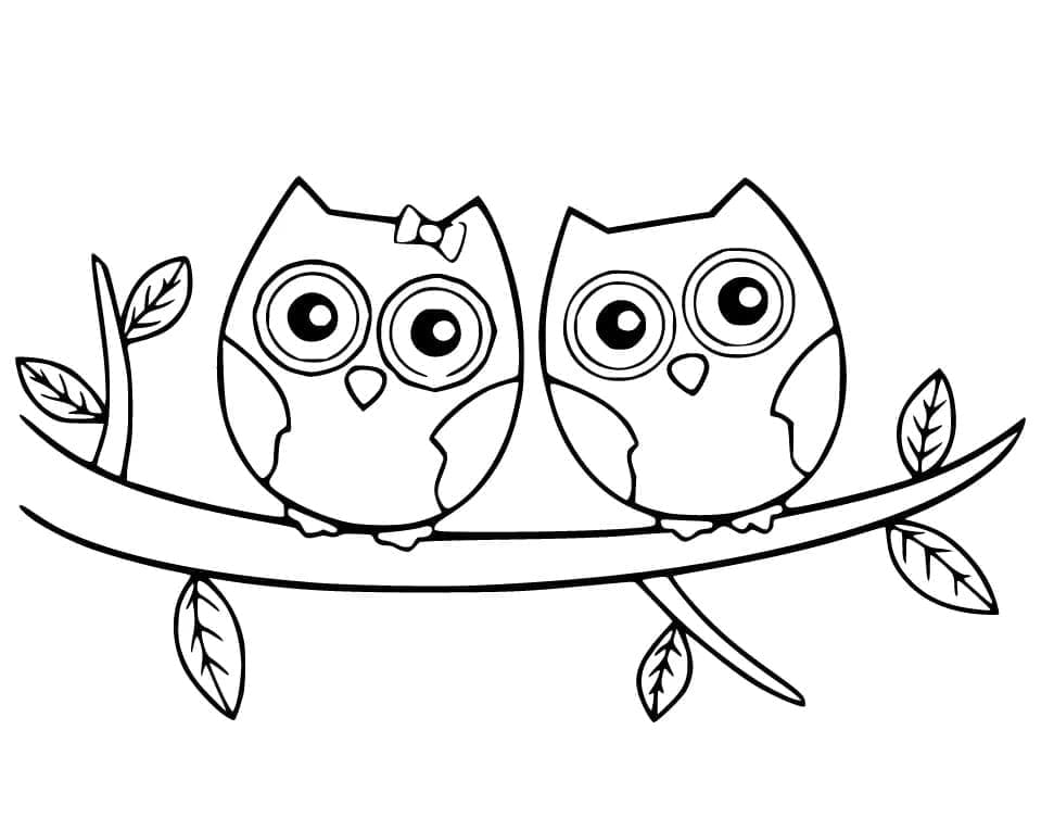 Desenho de Duas Corujas Fofas para Colorir