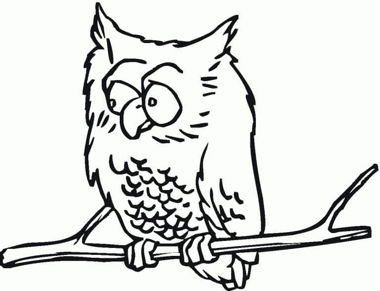 Desenho de Foto de Coruja para Colorir