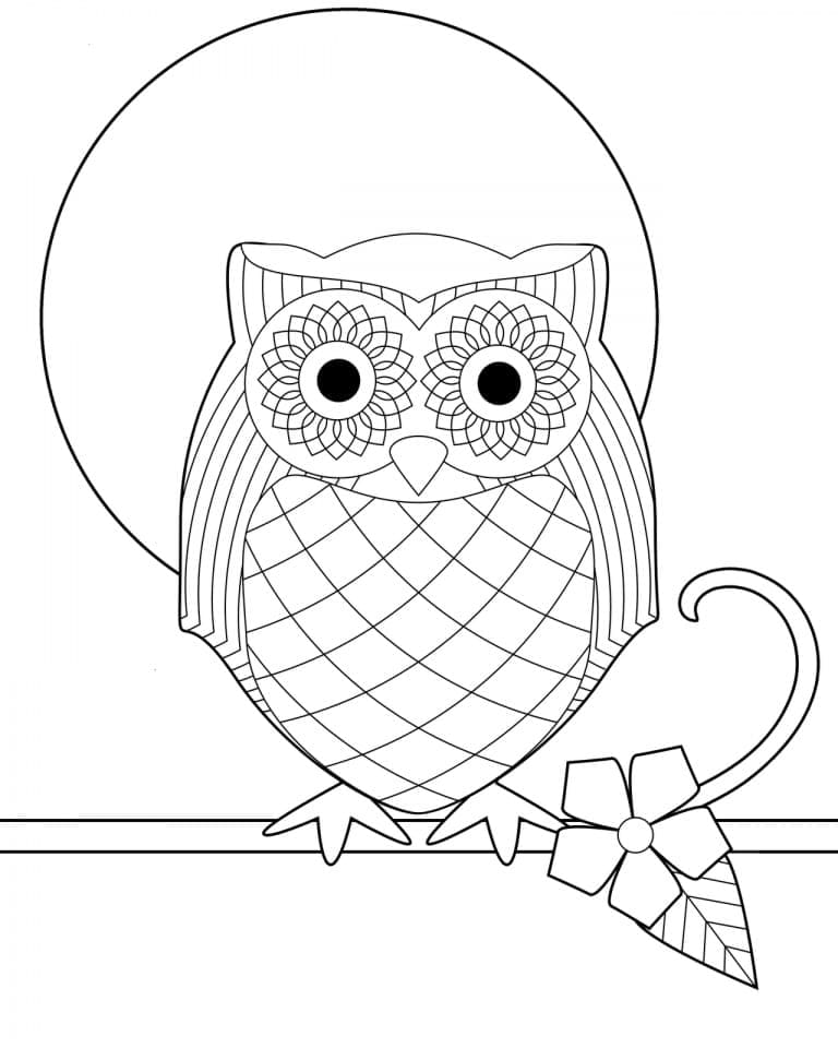 Desenho de Linda Coruja para Colorir