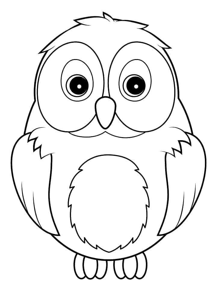 Desenho de Pequena Coruja para Colorir