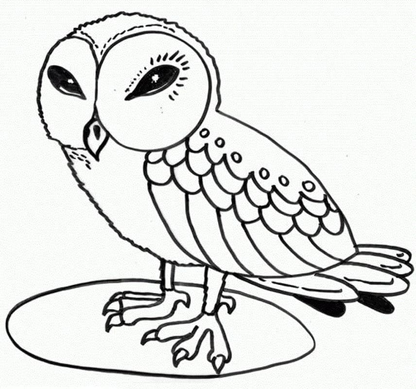 Desenho de Pintura de Coruja para Colorir