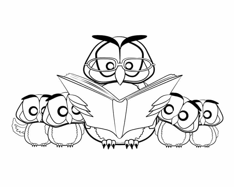 Desenho de Sala de Aula Coruja para Colorir