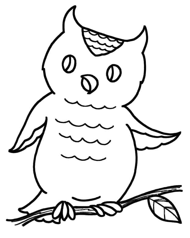 Desenho de uma Coruja Amigável para Colorir