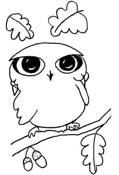 Desenho de Uma Coruja Fofa para Colorir