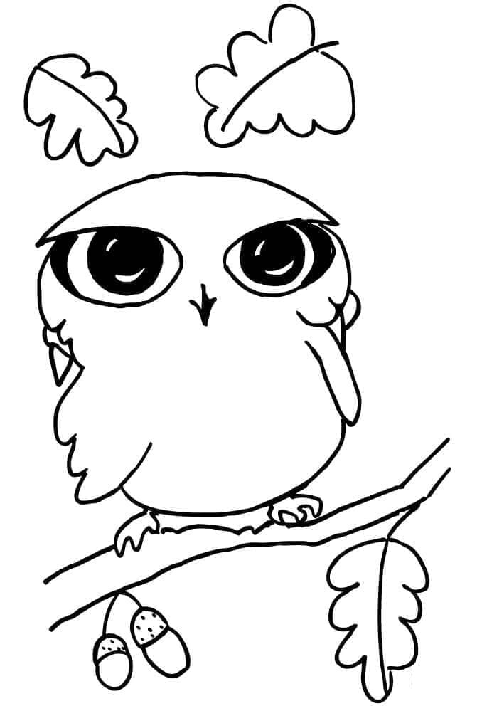 Desenho de uma Coruja Fofa para Colorir